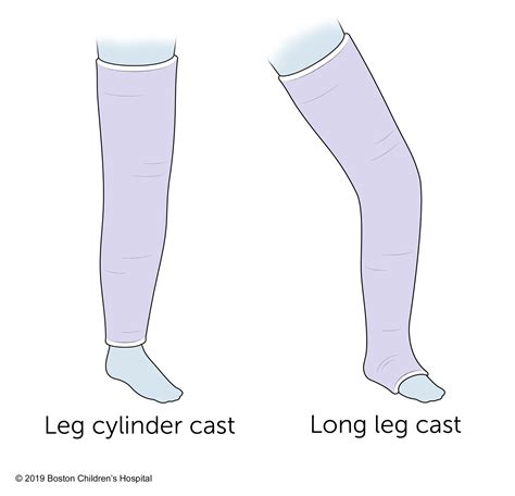 cast & crew|types of casts.